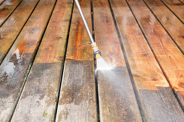 Best Driveway Pressure Washing  in Five Points, FL