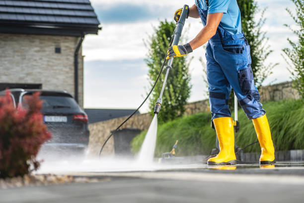 Animal Enclosure Cleaning in Five Points, FL